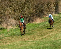 Pony Races  (4 of 134).jpg
