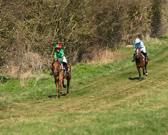 Pony Races  (4 of 134).jpg