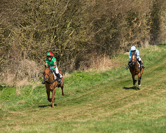 Pony Races  (5 of 134).jpg