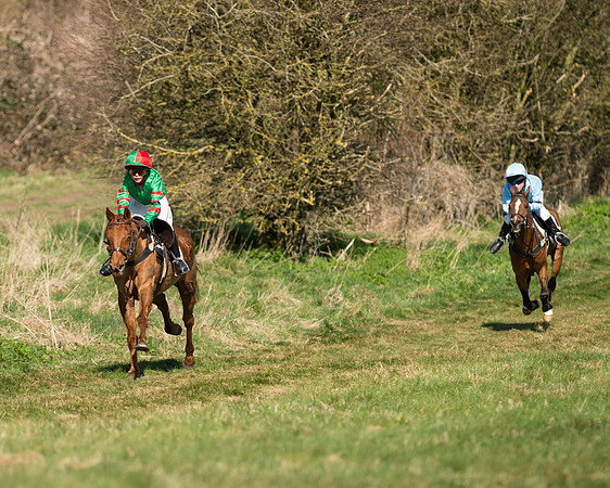 Pony Races  (6 of 134).jpg
