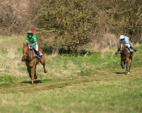 Pony Races  (7 of 134).jpg