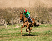 Pony Races  (8 of 134).jpg