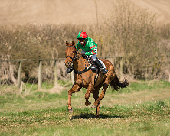 Pony Races  (8 of 134).jpg