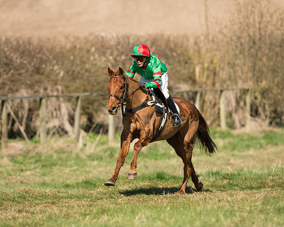 Pony Races  (9 of 134).jpg
