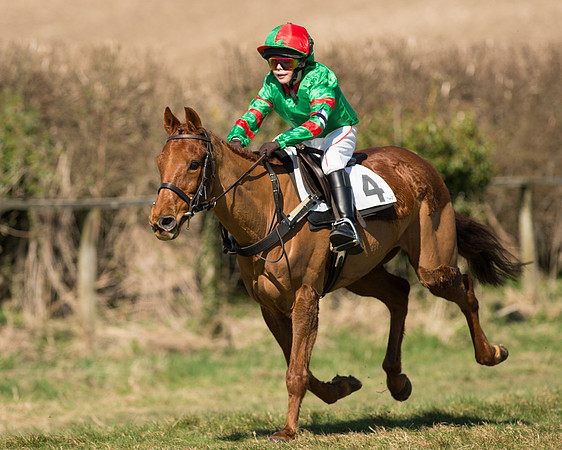 Pony Races  (11 of 134).jpg