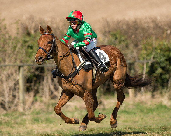 Pony Races  (12 of 134).jpg