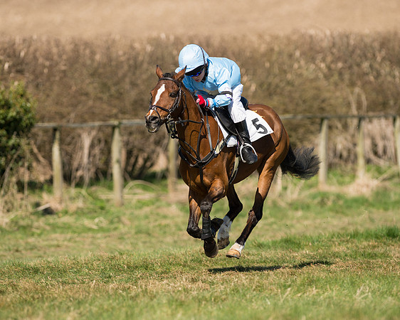 Pony Races  (13 of 134).jpg