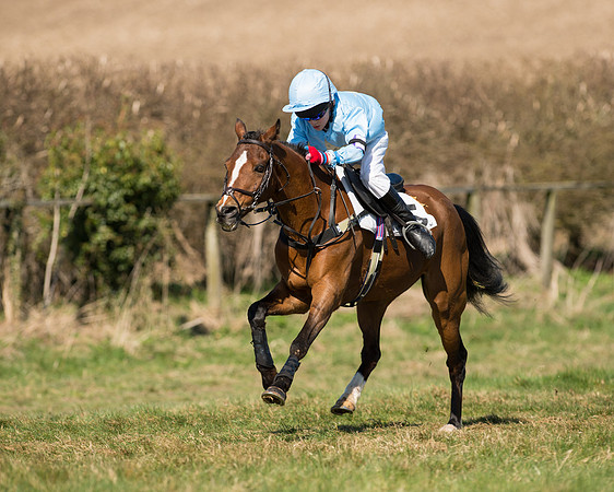 Pony Races  (14 of 134).jpg