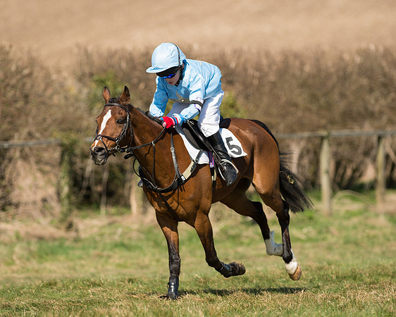 Pony Races  (16 of 134).jpg