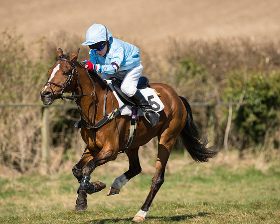 Pony Races  (18 of 134).jpg