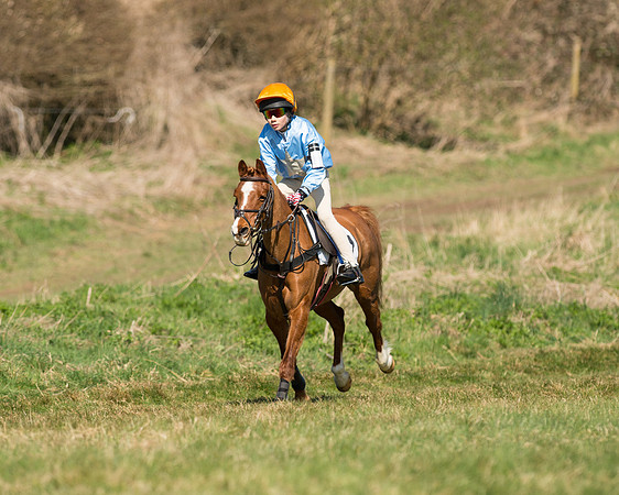 Pony Races  (19 of 134).jpg