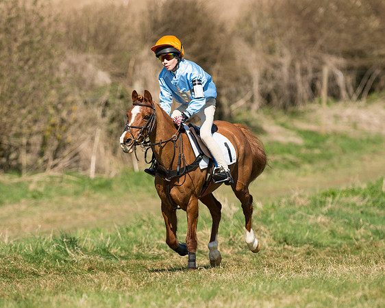 Pony Races  (21 of 134).jpg