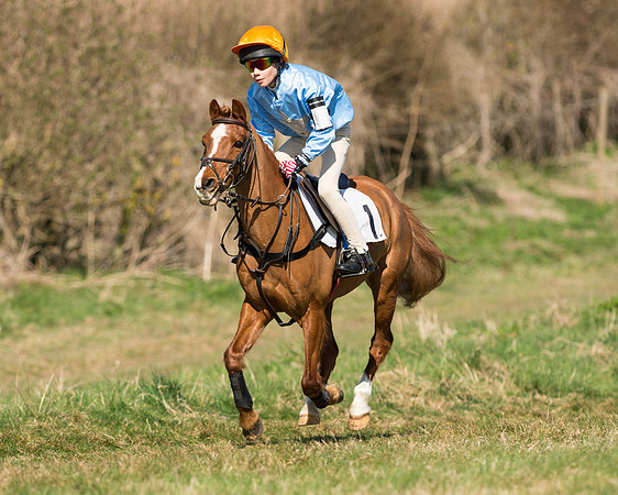 Pony Races  (22 of 134).jpg