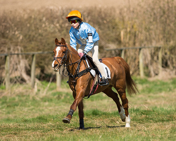 Pony Races  (23 of 134).jpg