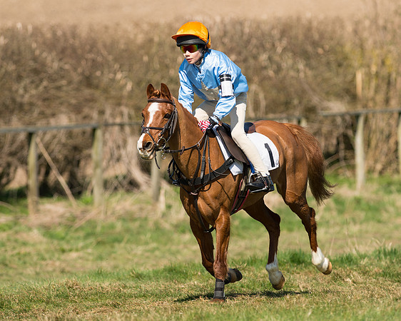 Pony Races  (24 of 134).jpg