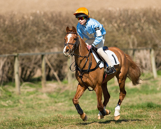 Pony Races  (25 of 134).jpg