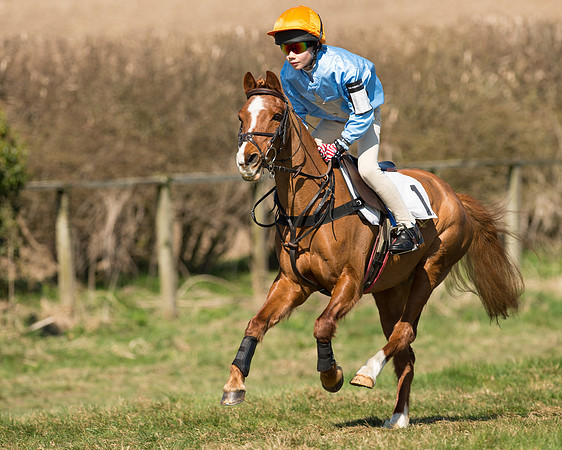 Pony Races  (26 of 134).jpg