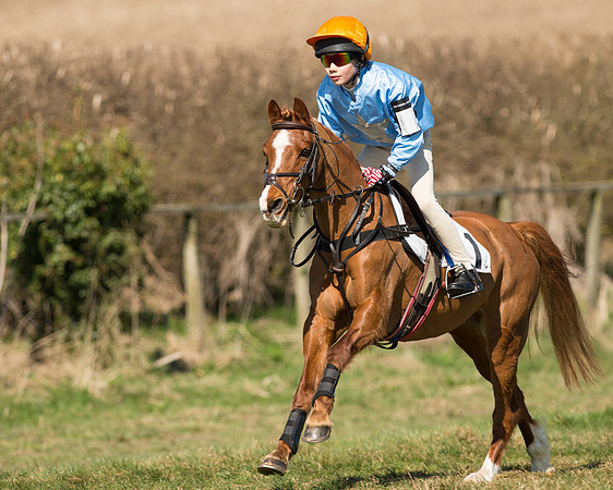 Pony Races  (27 of 134).jpg