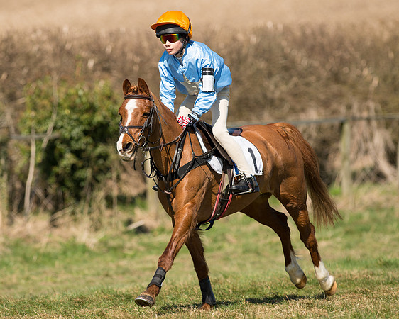 Pony Races  (28 of 134).jpg