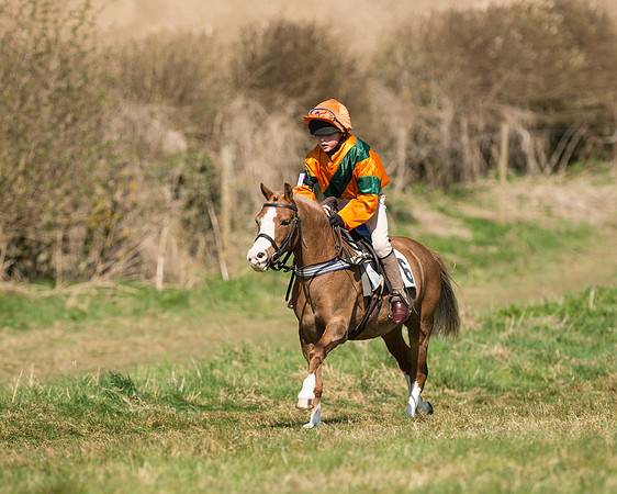 Pony Races  (29 of 134).jpg