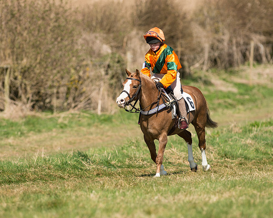 Pony Races  (30 of 134).jpg