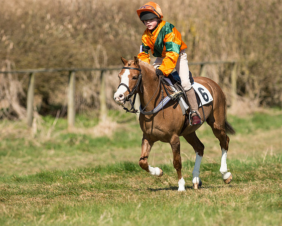Pony Races  (31 of 134).jpg
