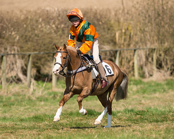 Pony Races  (32 of 134).jpg