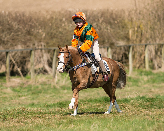 Pony Races  (33 of 134).jpg