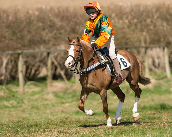 Pony Races  (35 of 134).jpg