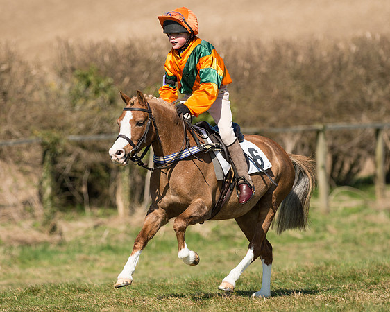 Pony Races  (36 of 134).jpg