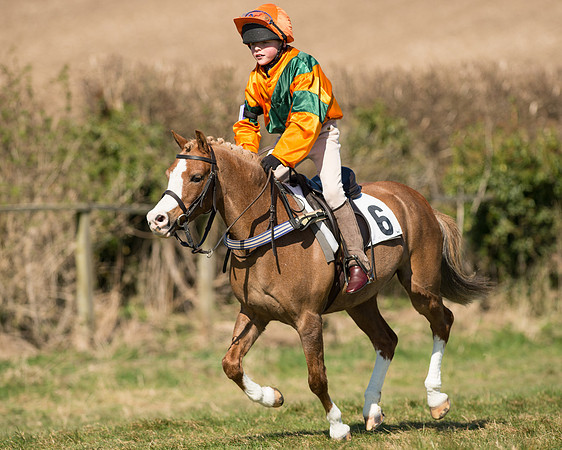Pony Races  (38 of 134).jpg
