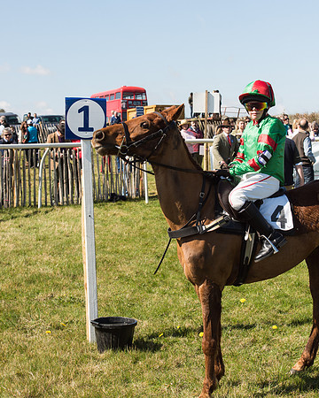 Pony Races  (42 of 134).jpg