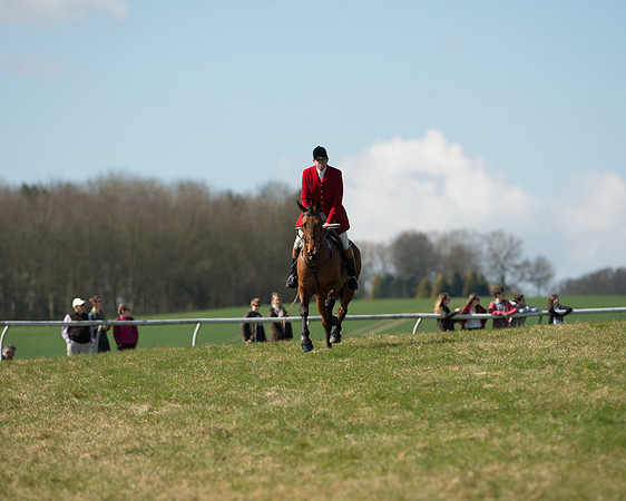 Pony Races  (52 of 134).jpg