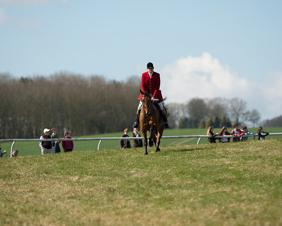 Pony Races  (53 of 134).jpg