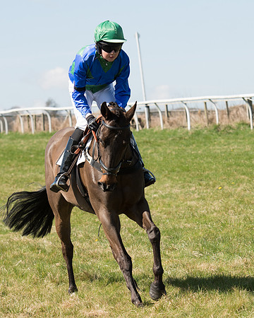 Pony Races  (58 of 134).jpg