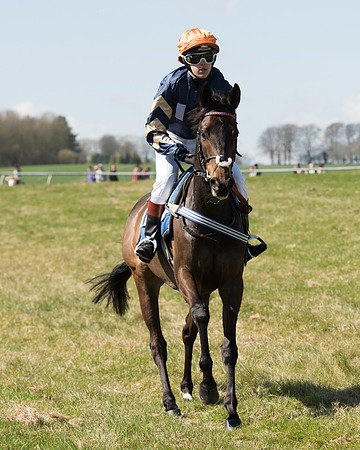 Pony Races  (61 of 134).jpg