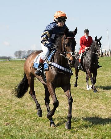 Pony Races  (62 of 134).jpg