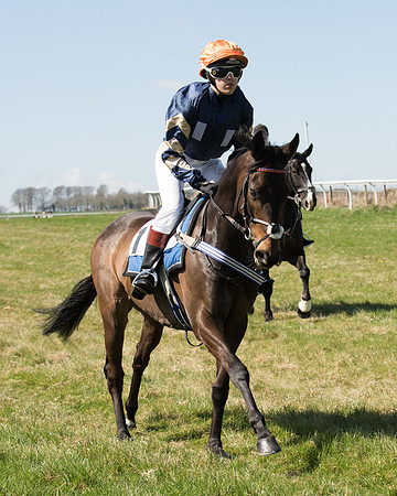 Pony Races  (63 of 134).jpg