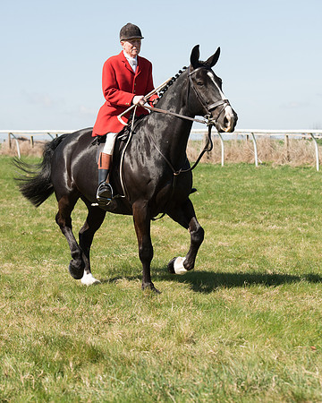 Pony Races  (64 of 134).jpg