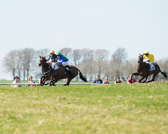 Pony Races  (66 of 134).jpg