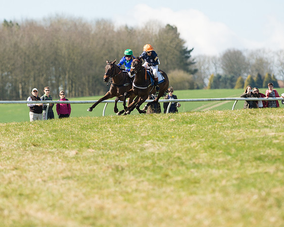 Pony Races  (70 of 134).jpg