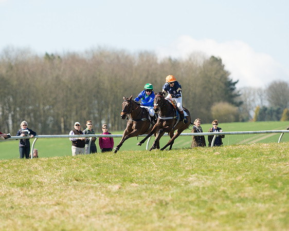 Pony Races  (71 of 134).jpg