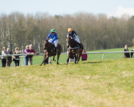 Pony Races  (76 of 134).jpg