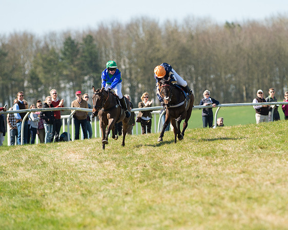 Pony Races  (78 of 134).jpg