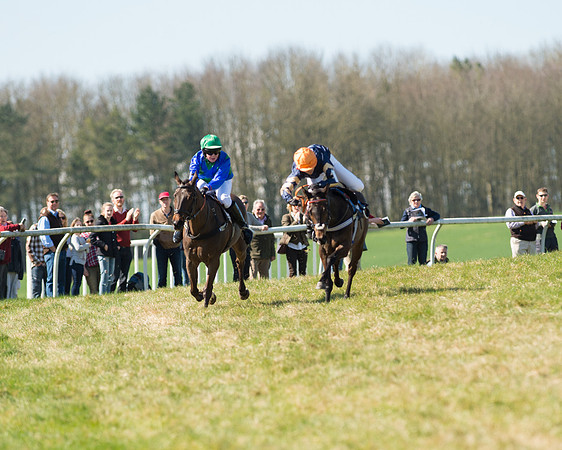 Pony Races  (79 of 134).jpg