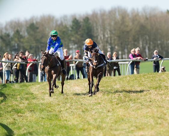 Pony Races  (80 of 134).jpg