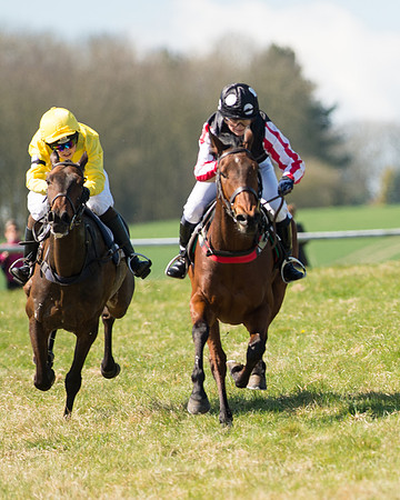 Pony Races  (82 of 134).jpg