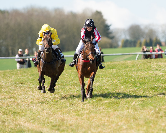 Pony Races  (83 of 134).jpg