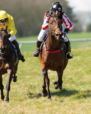 Pony Races  (85 of 134).jpg