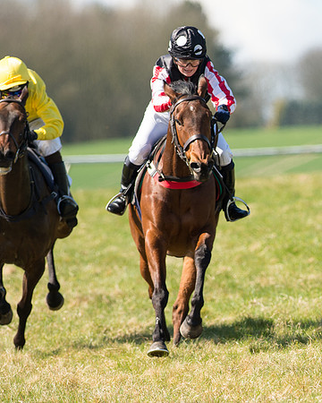 Pony Races  (86 of 134).jpg